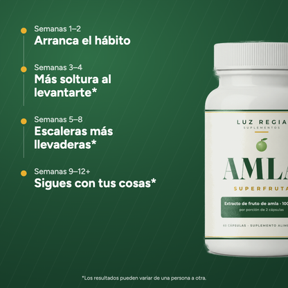 Qué esperar semana a semana