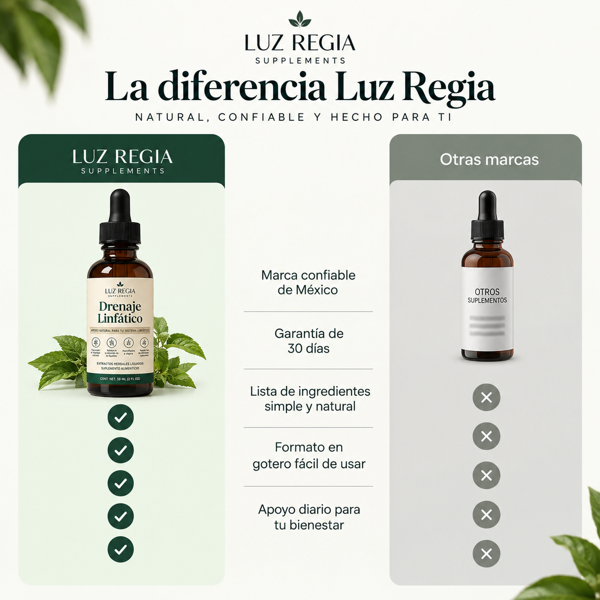 Gotas Orgánicas para Drenaje Linfático