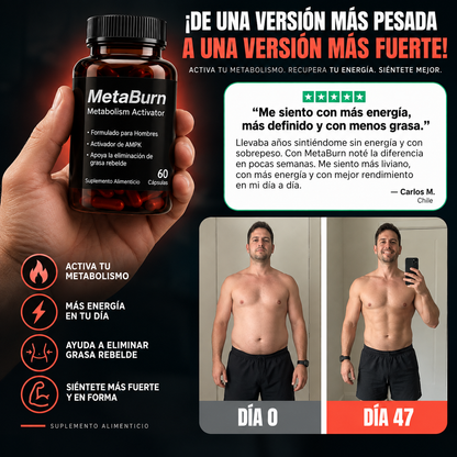 MetaBurn - imagen 3
